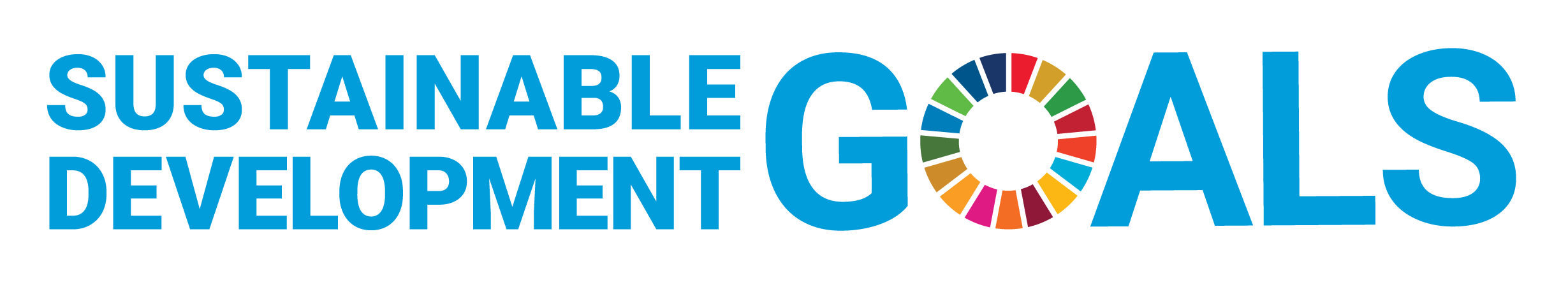 E_SDG_logo_horizontal_Transparent_WEB